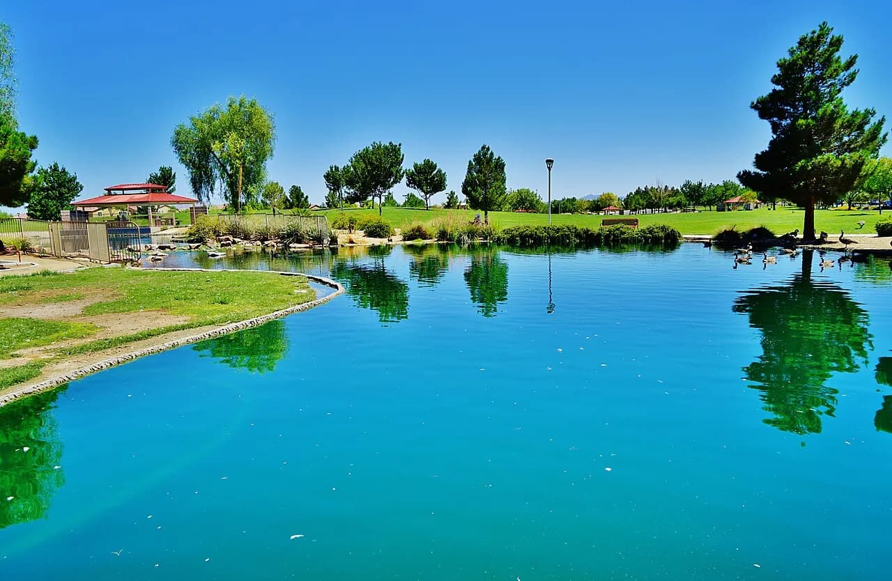 Pond, trees and picnic shelters at Aliante Nature Discovery Park
