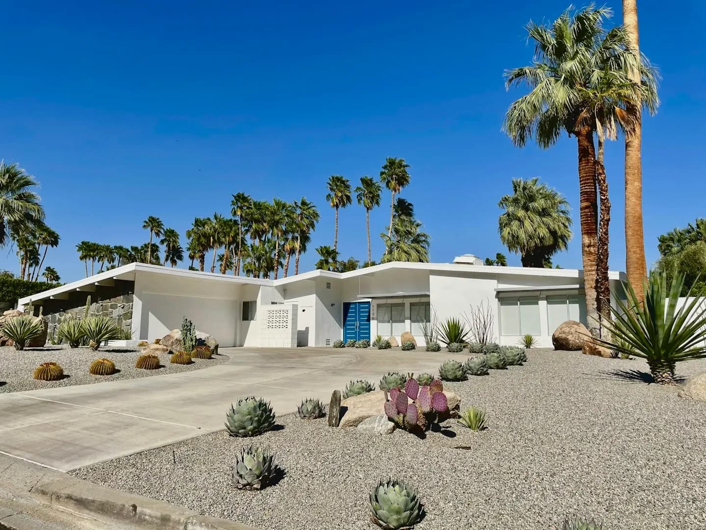 Sunlit white midcentury home with a blue front door, palm trees and desert landscaping